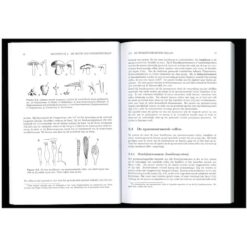 Basisboek Paddenstoelen