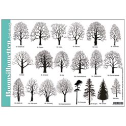 Herkenningskaart Boomsilhouetten