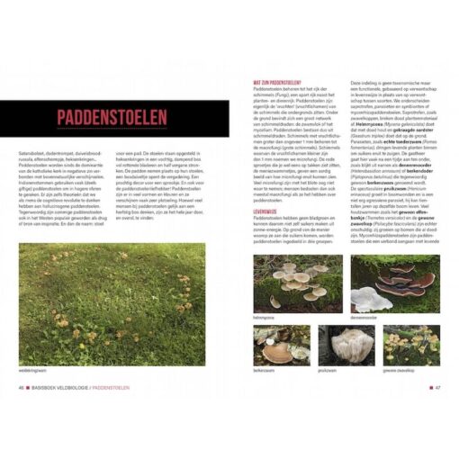Basisboek Veldbiologie