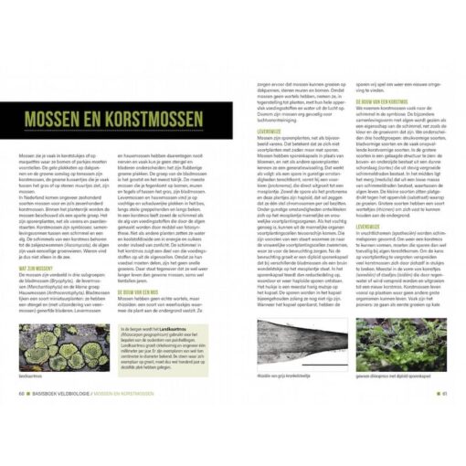 Basisboek Veldbiologie
