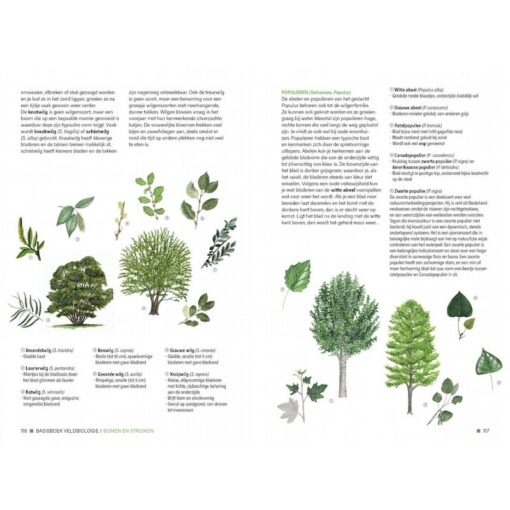 Basisboek Veldbiologie
