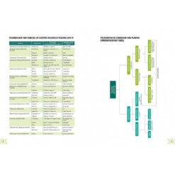 Geïllustreerd botanisch woordenboek