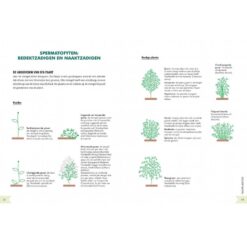 Geïllustreerd botanisch woordenboek