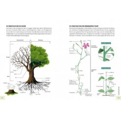 Geïllustreerd botanisch woordenboek