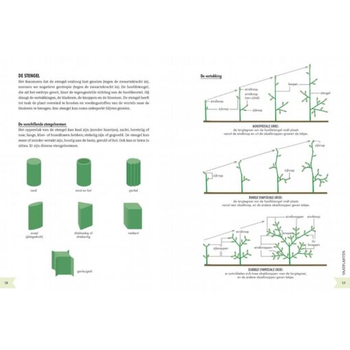 Geïllustreerd botanisch woordenboek
