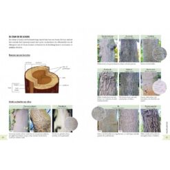 Geïllustreerd botanisch woordenboek