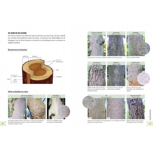 Geïllustreerd botanisch woordenboek