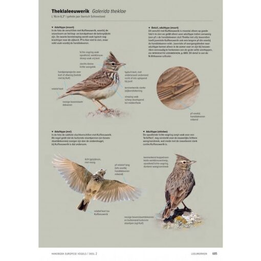 Handboek Europese vogels