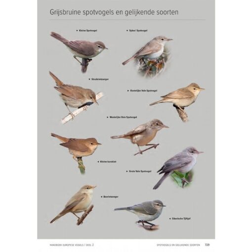 Handboek Europese vogels