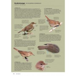 Handboek Europese vogels