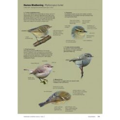 Handboek Europese vogels