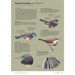 Handboek Europese vogels