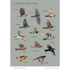 Handboek Europese vogels