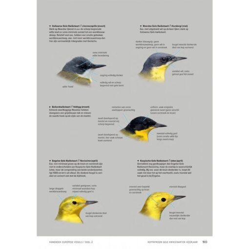 Handboek Europese vogels