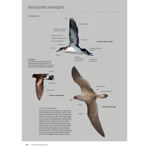 Handboek Europese vogels