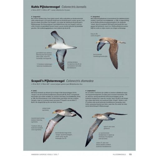 Handboek Europese vogels
