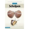 Veldgids Schelpen