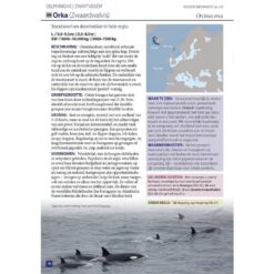 Zeezoogdieren van Europa