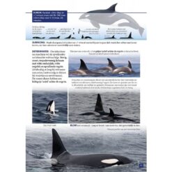 Zeezoogdieren van Europa