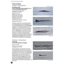 Zeezoogdieren van Europa