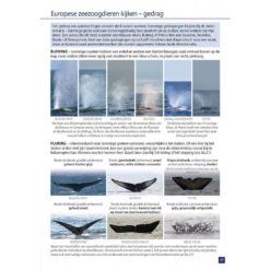 Zeezoogdieren van Europa