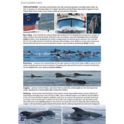 Zeezoogdieren van Europa