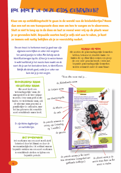 De leukste Insectengids voor Kids - Afbeelding 3