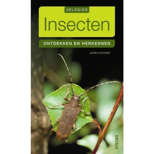 Deltas veldgids insecten