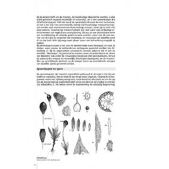KNNV Beknopte Mosflora van Nederland en België