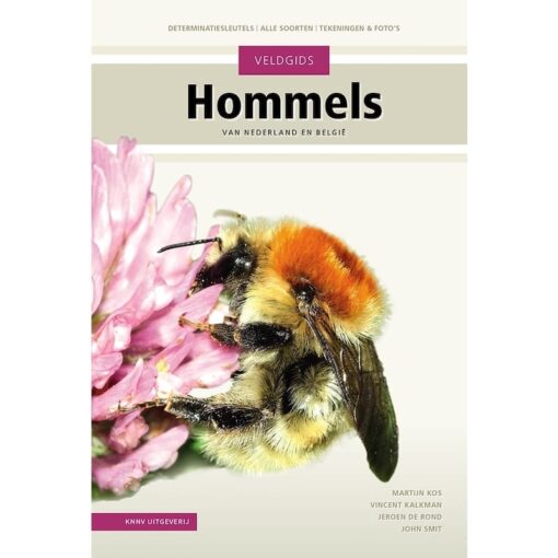 KNNV Veldgids Hommels
