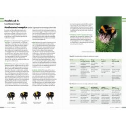 KNNV Veldgids Hommels