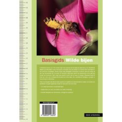 KNNV Basisgids Wilde Bijen