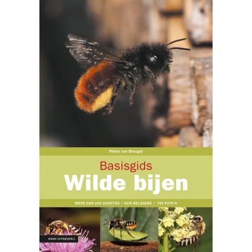 KNNV Basisgids Wilde Bijen