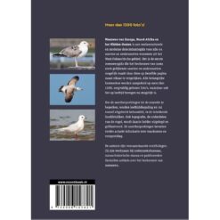 Meeuwen-handboek-voor-Europa-Noord-Afrika-en-het-Midden-Oosten
