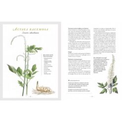 KNNV Botanicum Medicinale boek over geneeskrachtige planten en kruiden