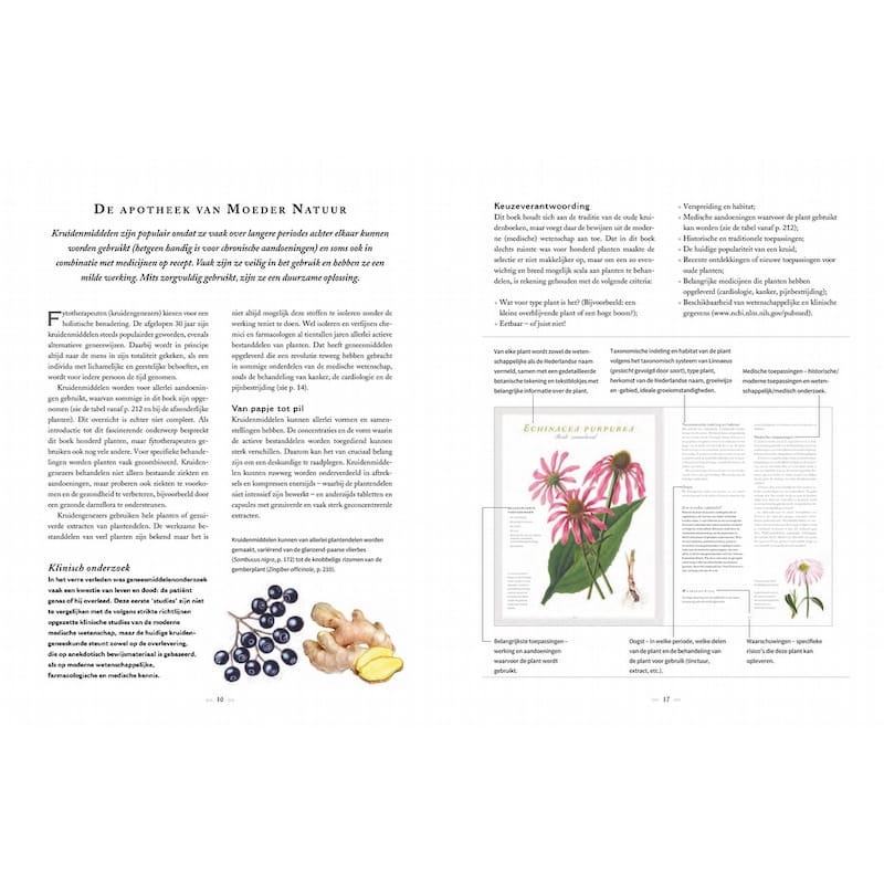 KNNV Botanicum Medicinale boek over geneeskrachtige planten en kruiden