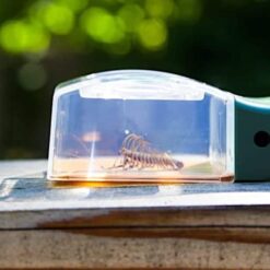 Carson BugView Insectenvanger