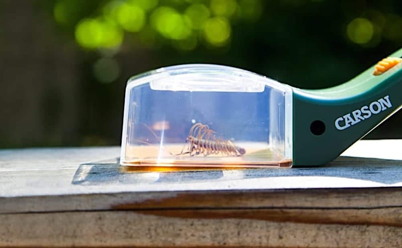 Carson BugView Insectenvanger