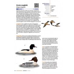 Handboek Vogels van Nederland