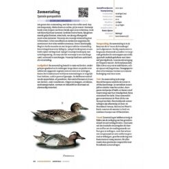 Handboek Vogels van Nederland