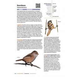 Handboek Vogels van Nederland