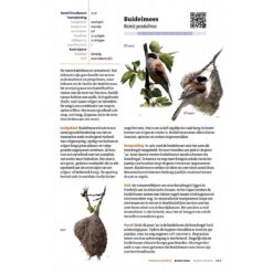 Handboek Vogels van Nederland