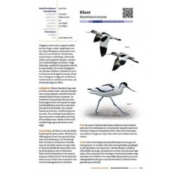 Handboek Vogels van Nederland
