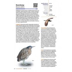 Handboek Vogels van Nederland