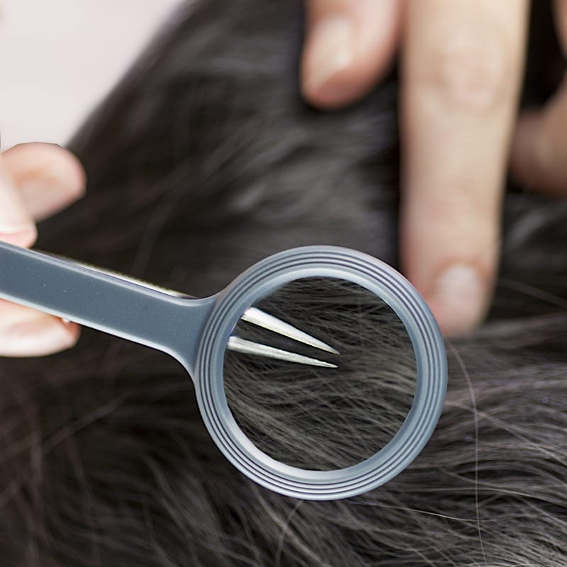 Carson MagniGrip MG-88 Loep met Pincet en LED