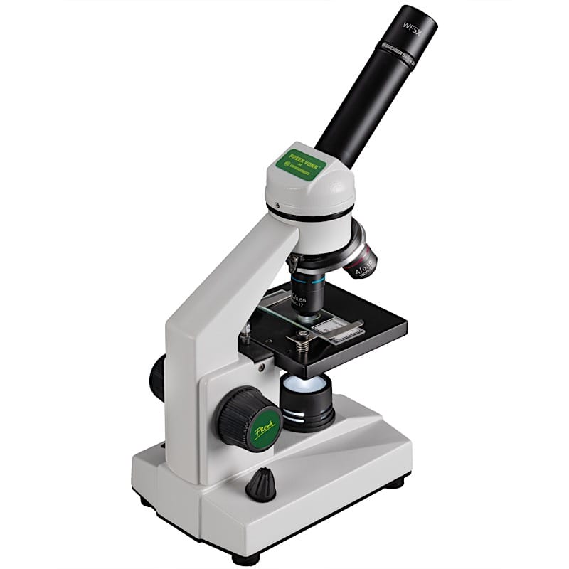 Freek Vonk x BRESSER Microscoop