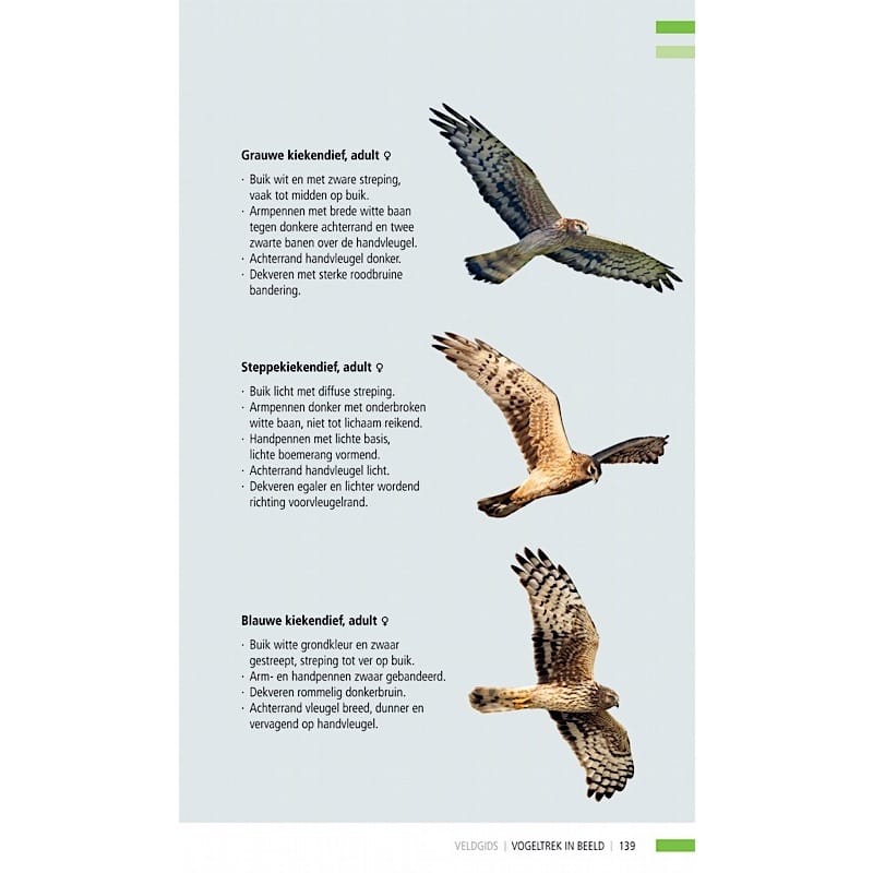 KNNV Veldgids Trekvogels in beeld