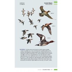 KNNV Veldgids Trekvogels in beeld