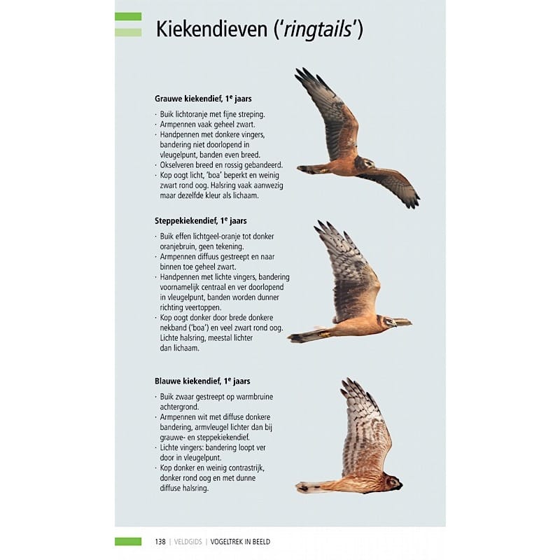 KNNV Veldgids Trekvogels in beeld