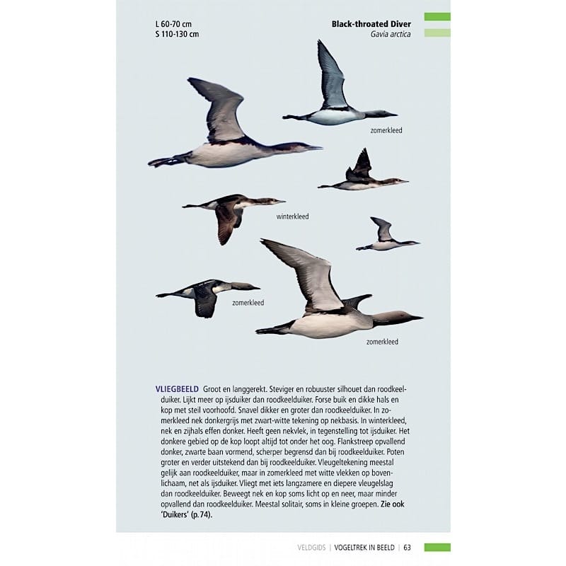 KNNV Veldgids Trekvogels in beeld
